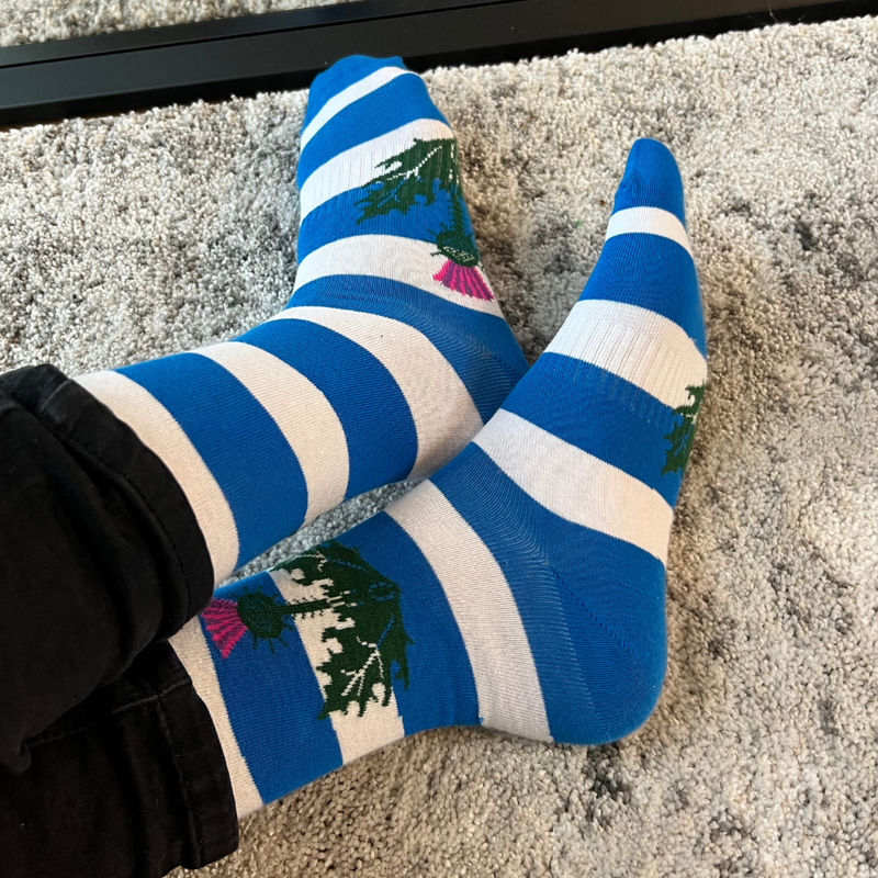 Scotland Stripe Sock