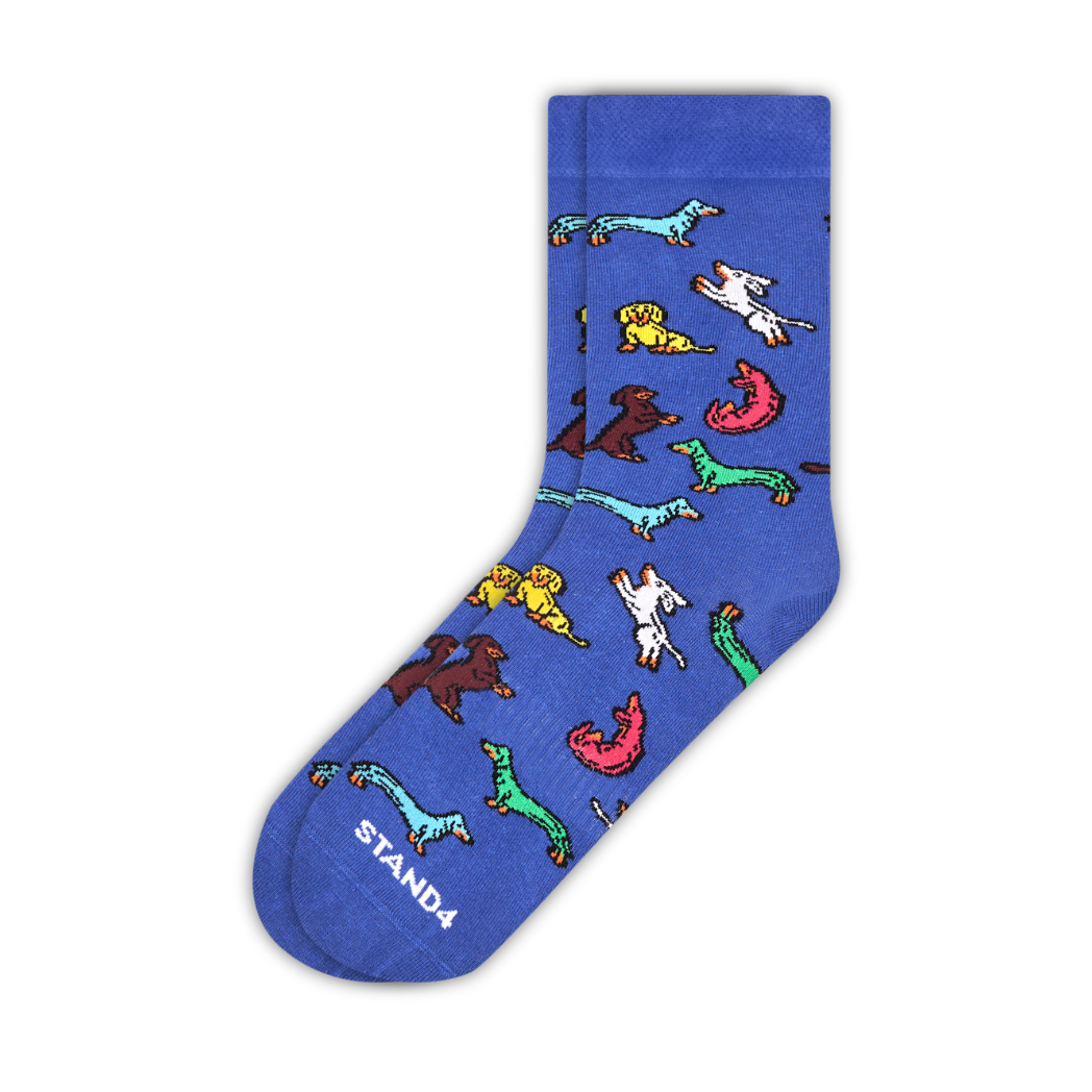 Dachshunds Stand4 Socks Buy One Give One dachshunds-stand4-socks-buy-one-give-one