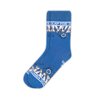 Stand4 Health Heroes Sock