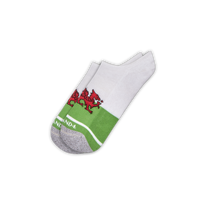 Wales No Show Sock