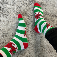 Wales Stripe Sock