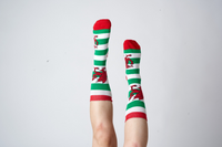 Wales Stripe Sock