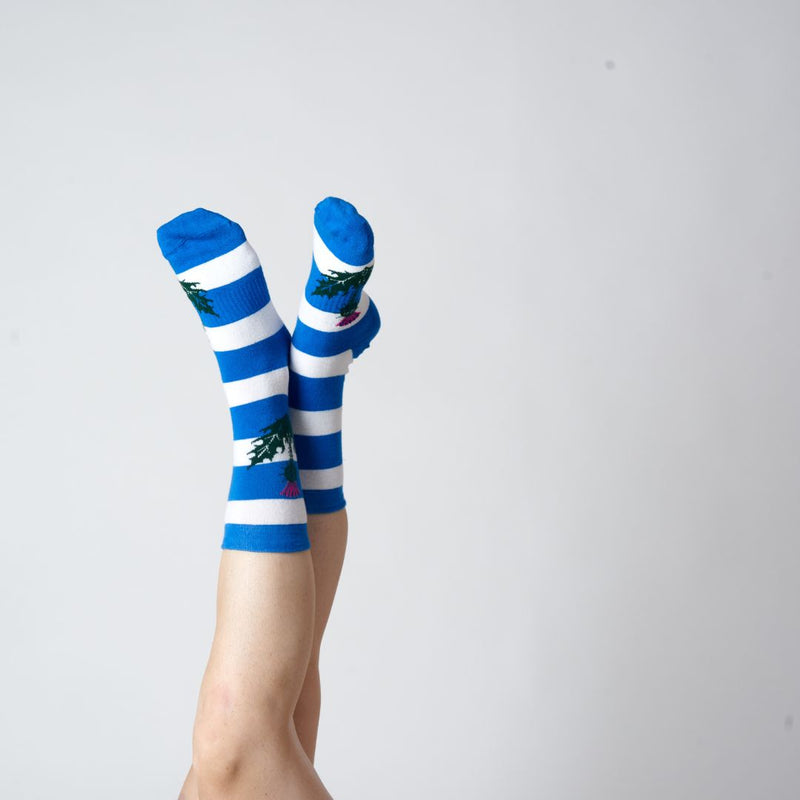 Scotland Stripe Sock